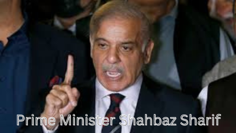 prime minister shahbaz sharif